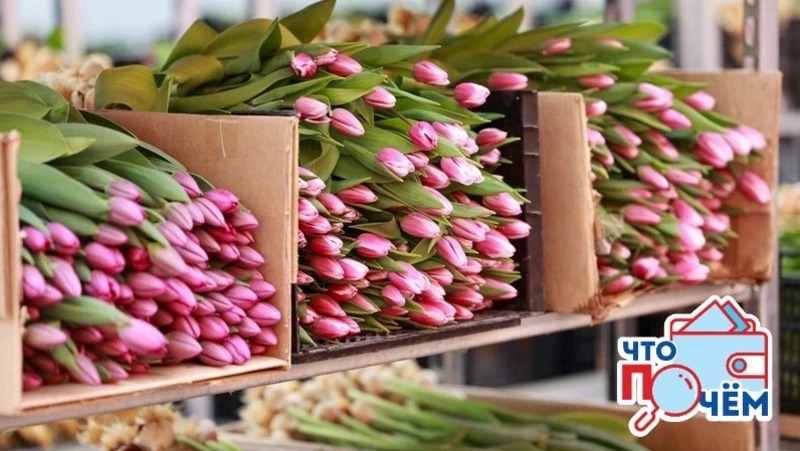 Сколько стоят цветы к праздникам на Сахалине: обзор цен 