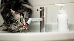 Авария на сетях оставит часть Южно-Сахалинска без воды 13 и 14 января