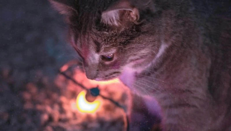 Психиатрическая больница и часть Южно-Сахалинска остались без света 25 августа