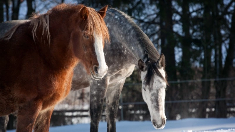Народные приметы на 25 марта 2024 — что можно и нельзя делать в этот день