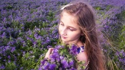 Совхоз «Тепличный» подарит сертификат за лучший снимок в поле с фацелией