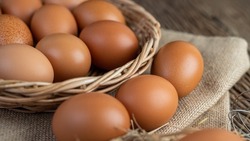 Птицефабрика на Сахалине снизила цены на яйца на 14 рублей