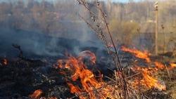 Сухая трава загорелась возле кладбища в Поронайском районе 19 августа