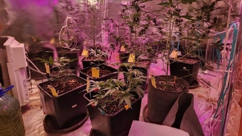 Житель Южно-Сахалинска организовал наркоплантацию на крыше дома