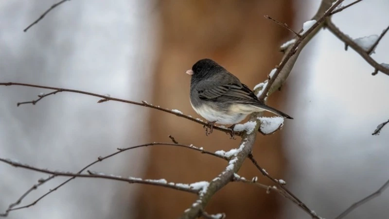 Церковный праздник 2 января 2025: что нельзя делать в этот день, приметы