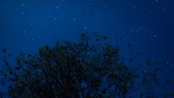 Гороскоп на 12 июня 2025 года для всех знаков зодиака
