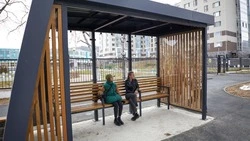 На новой остановке возле гимназии № 3 Южно-Сахалинска высадят цветы