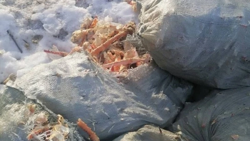Зловонную свалку с крабовыми отходами нашли вдоль трассы Поронайск — Леонидово