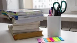 Школы Южно-Сахалинска останутся на дистанционном обучении 31 января