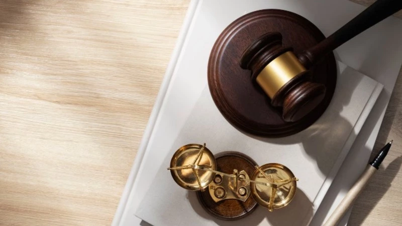 Суд обязал сахалинскую компанию выплатить 91 миллион рублей за незаконную вырубку леса 