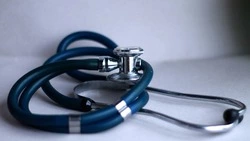 Мэр Корсакова построит новый ФАП сельчанам Первой Пади