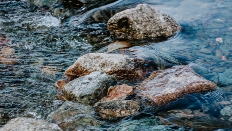 Мужчина нелегально добыл горбушу на 20 тысяч рублей в Макаровском районе