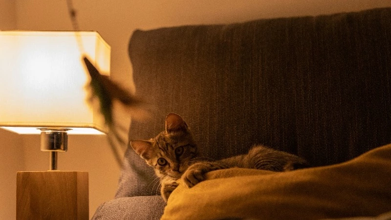 Часть Южно-Сахалинска проведет 22 июля без электричества