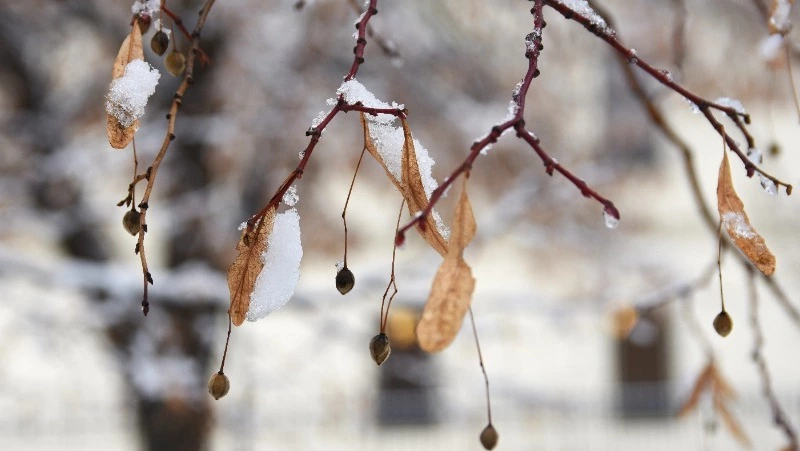Снег с дождем накроют Сахалинскую область 7 апреля