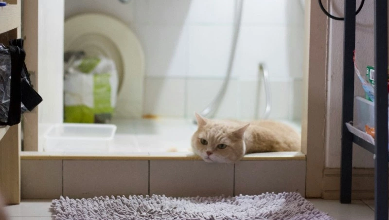 Детский сад и микрорайон Южно-Сахалинска оставят без горячей воды 5 сентября