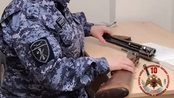 Росгвардейцы за неделю изъяли шесть ружей у сахалинцев
