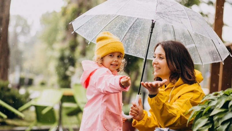 Дождь и до +26 градусов: прогноз погоды в Южно-Сахалинске на 17 июля