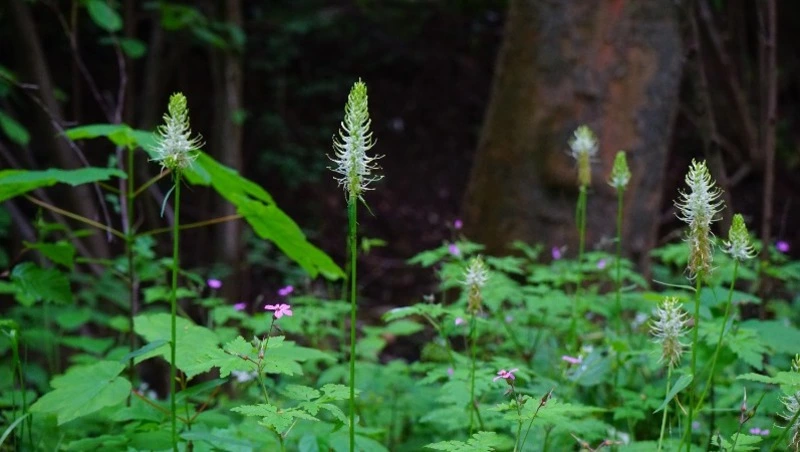 Церковный праздник 28 июня 2024: что нельзя делать в этот день, приметы