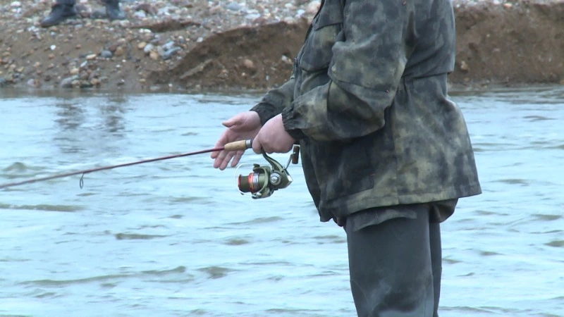 Три хвоста в день и тысячи тонн в сезон: как на Сахалине идет лососевая путина