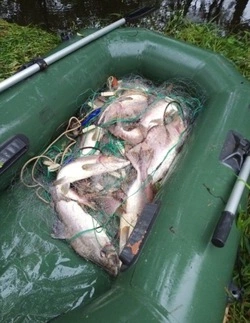 Рыбоохрана забрала почти 200 кг рыбы и две лодки у браконьеров на Сахалине