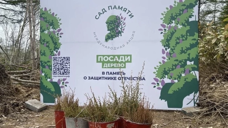 В Южно-Сахалинске посадили более 3,5 тысячи деревьев благодаря акции «Сад памяти»