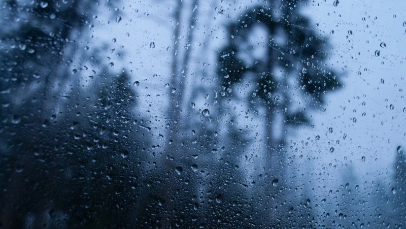 Юг Сахалина зальет дождем, а на Курилах потеплеет до +14 градусов 27 апреля