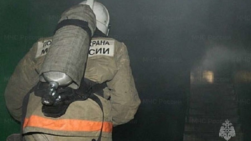 Пожарные потушили автомобиль