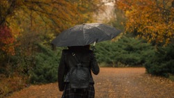 Погода в Южно-Сахалинске 26 октября: +15 и слабый дождь 