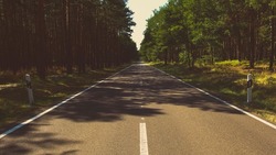 Надо ли вырубать деревья в Южно-Сахалинске в пользу дорог? Вопрос от урбаниста