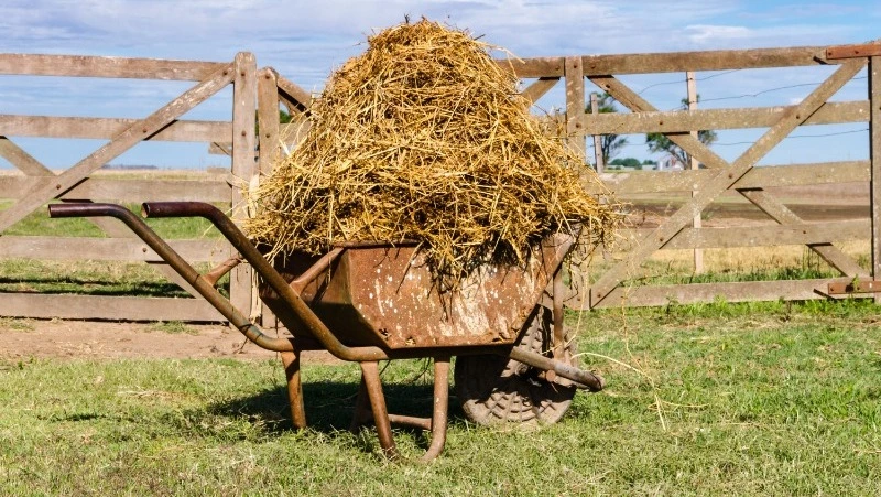 Церковный праздник 27 июля 2025: что нельзя делать в этот день, приметы