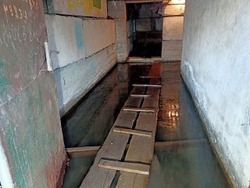 Плесень, грибок и крысы: кипяток затопил подвал дома в Южно-Сахалинске 