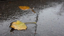 Сильные дожди и ветер обрушатся на Сахалин и Курилы 24 октября