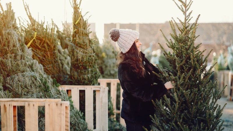 Новогодняя викторина: ответьте на 10 вопросов и выиграйте елку в Южно-Сахалинске