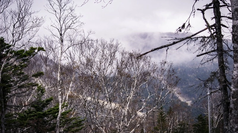 Telegram’мы Сахалина. «Капитал» Лимаренко, «Аврора» против «Тигралета», новый привет из Охи