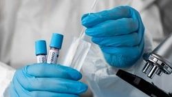 Коронавирус на Сахалине: 430 заболевших и пять смертей