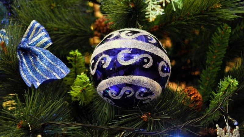 Россияне назвали самые ненавистные предновогодние дела