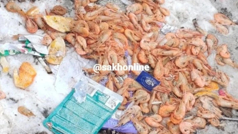 Гниющий деликатес нашли на помойке в центре Южно-Сахалинска 