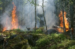 Более 6 млрд рублей на подготовку к пожароопасному сезону выделили регионам ДФО