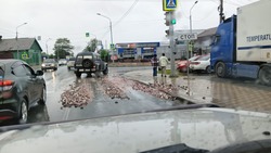 Десятки рыбьих голов наполнили незабываемым ароматом улицу Сахалинскую в областном центре