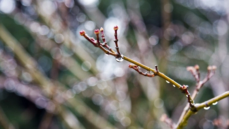 4 апреля — Василий Теплый: что нельзя делать в этот день