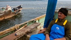 Ошибки в прогнозах: сахалинских рыбопромышленников не радуют показатели лососевой путины 