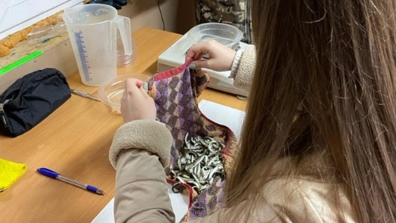 Погода помешала выпустить мальков кеты с завода в Невельске в воду