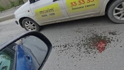 Большегрузы разбросали на дороге в районе Дальнего рыбные отходы