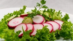 Салат из редиса, капусты и огурцов — рецепт легкого блюда 