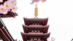 Японцы требуют восстановить меморандумы о деятельности Японских центров в России