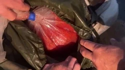 Икру и кету почти на 3 млн рублей незаконно добыли трое молодых жителей Сахалина