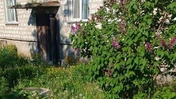   Жители Корсаковского района возмутились нескошенной травой у домов