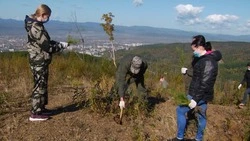 Сохраняют и восстанавливают лес. Среда обитания 18.10.22