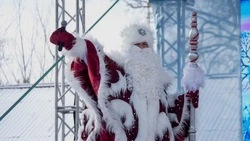 Южносахалинцев бесплатно накормят гигантской сельдью под шубой 31 декабря