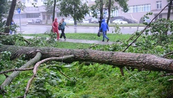 Ущерб подсчитан: «Халонг» повредил в Южно-Сахалинске 330 крыш и 2000 деревьев